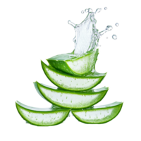 Fresh aloe vera slices with a water splash isolated on a light background, Aloe vera slices with water splash isolated png