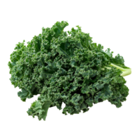 Fresh kale leaves isolated on a clean transparent background for culinary and nutritional purposes, fresh kale isolated on transparent background png