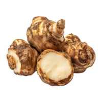 Fresh sunchoke tubers isolated on a clean transparent background ready for culinary use or nutritional exploration, sunchoke isolated on transparent background png