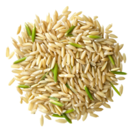 Fresh uncooked paddy rice with green husks on a transparent background, highlighting its natural texture and color, Paddy rice top view on transparent background png