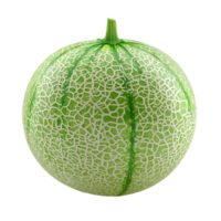 Fresh green melon isolated on a transparent background showcasing its unique texture and color variations, Green melon isolated on transparent background png