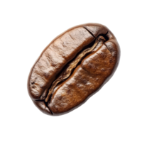 Single roasted coffee bean isolated on transparent background, highlighting its rich texture and color for coffee enthusiasts, single roasted coffee bean isolated on transparent transparent background png