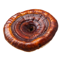 Lingzhi mushroom Ganoderma lucidum displayed on a clean transparent background highlighting its unique texture and shape, Lingzhi Mushroom Ganoderma Lucidum on transparent background png
