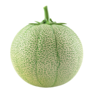 Fresh green melon isolated on a transparent background, showcasing its textured surface and vibrant color, Melon isolated on transparent background png