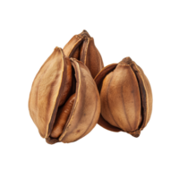 Sacha Inchi seeds displayed on a clean transparent background showcasing their unique shape and natural colors, Sacha Inchi on transparent background png