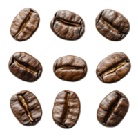 Coffee beans arranged in a grid on a transparent background showcasing their rich texture and deep brown color, coffee beans isolated on transparent background png