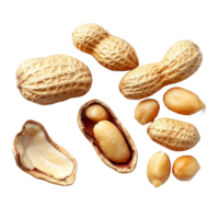 Opened shell peanuts and unpeeled peanuts displayed on a transparent background, showcasing their natural texture and color, Opened shell peanut and unpeeled peanuts over transparent background png