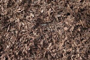 Bark mulch background texture close up. Natural fertilizer made of plant humus for soil enrichment photo