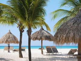 Equipped tropical beach resort with sun loungers and thatch straw umbrellas on Aruba island, Eagle beach photo