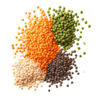 Various types of lentils arranged on a transparent background showcasing their diverse colors and textures, Lentils isolated on transparent background png