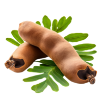 Tamarind pods with fresh leaves on a transparent background showcasing natural beauty and texture, tamarind with leaf isolated on transparent background png