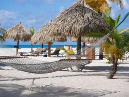 Organized tropical beach resort with sun loungers, hammock and thatch straw umbrellas on Aruba island, Eagle beach photo