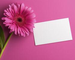 Bright Pink Gerbera Daisy Flower with Blank Card on Vibrant Fuchsia Background photo