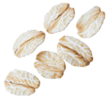 oat flakes isolated on transparent background. png