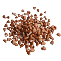 buckwheat grains pile on transparent background png