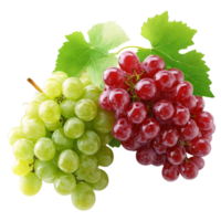 two bunches of grapes isolated on transparent background. png