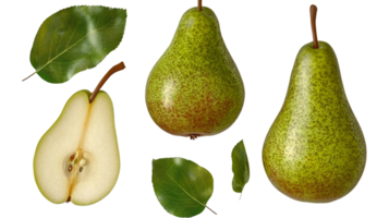 pear fruit set, isolated on transparent background. png