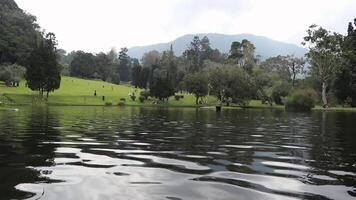 Relaxing View of People Enjoying Park by Lake Ripples video