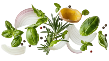 fresh herbs and spices still life on transparent background. png