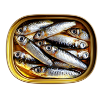canned sardines, close-up in golden can png