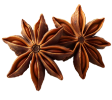 star anise pods isolated on transparent background. png