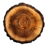 tree rings pattern isolated on transparent background. png