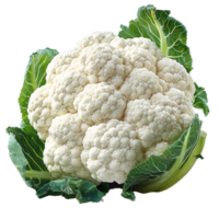 fresh cauliflower head with leaves on transparent background png