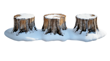 three snowy tree stumps isolated on transparent background. png