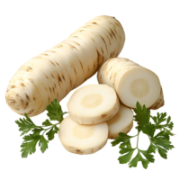 fresh parsnip root and slices on white background png
