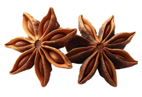 star anise on white background, aromatic spice. png