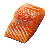 Fresh Salmon Fillet on White Background png