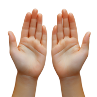 two hands palms open on white background png
