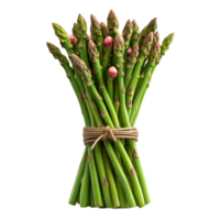 Freshly Harvested Bundle of Green Asparagus Spears Tied with Twine png