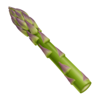 Single Spear of Fresh Green Asparagus with Purple Tip, Realistic 3D Render png