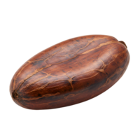 Single Cacao Bean, Closeup Studio Shot on Transparent Background png