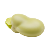 Single Fresh Broad Bean with Hull Closeup png