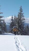 A traveler in a yellow jacket with a backpack hikes through deep snow among snow-covered trees with a mountain view. Vertical footage video