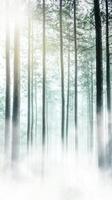 Misty teal forest enveloped in soft fog during early morning hours photo