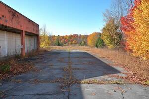 Abandoned building autumnal landscape overgrown pavement photo