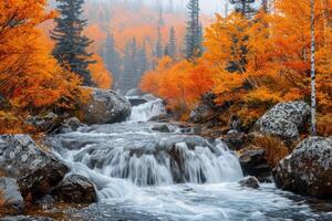 A Cascade Through Autumn-Colored Trees in a Foggy Forest photo