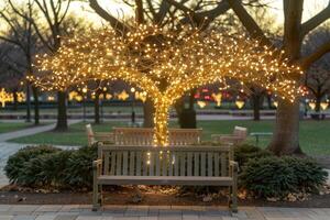 A tree illuminated with string lights, a wooden bench in the foreground, and a blurred background of a park. photo