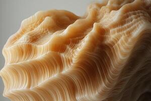 Close-up of a Light Brown Seashell with Wavy Ridges and Lines photo