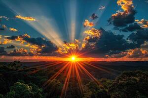 Sunset Over A Forest With Golden Light Rays photo