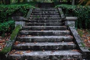 Stone Steps Leading Up Through Lush Greenery and Fallen Leaves photo