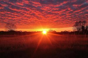 Sunset Over a Field with Silhouetted Trees and Red Sky photo