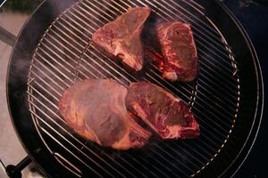 Close-up photo of delicious meat being grilled. In the background, friends and family are sitting and waiting for a meal.