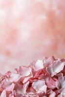 A collection of pink and red rose petals is gently laid across a smooth pastel background, creating a soft-focus effect perfect for romantic occasions like weddings or Valentine's Day photo