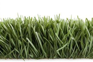 Stylized cartoon grass creates a vibrant, fun border at the bottom of a pure white space. Ideal for cheerful text overlays, the design invites creativity and playfulness photo