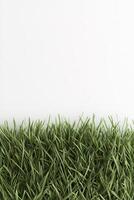 Stylized cartoon grass forms a vibrant border at the bottom of a white background, creating a fun and inviting space perfect for children's themes and gaming designs photo