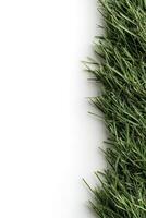 A lush strip of vibrantly green grass with sharply defined blades lies against a bright white background, leaving ample space for text and branding. Perfect for eco-friendly themes photo